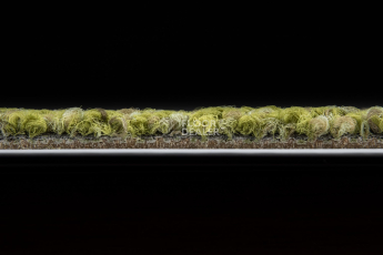 Desso Marvel 7073 фото 5 | FLOORDEALER